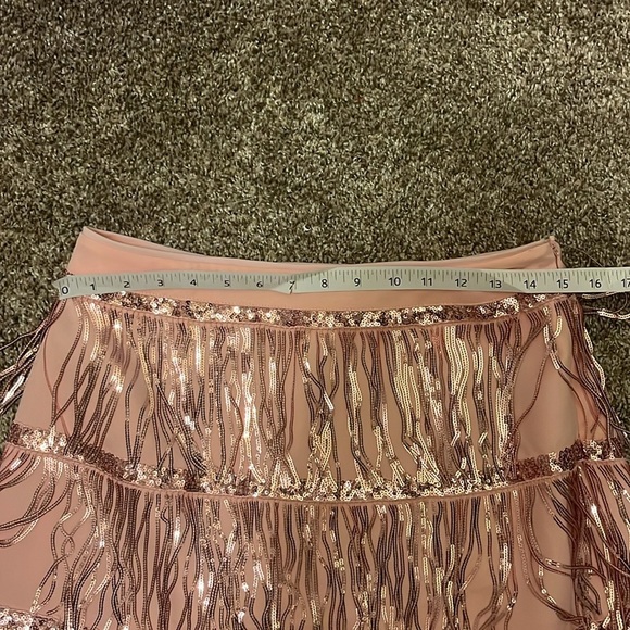 Altard state pink sequin Fringe Two-Piece Set size large - Picture 16 of 16